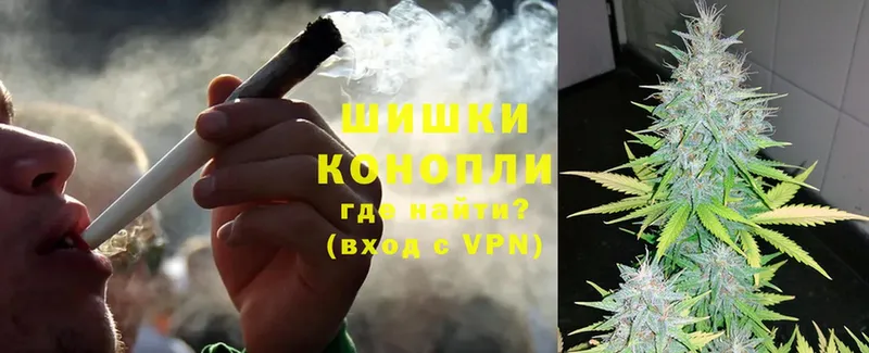 купить наркотик  Орлов  Бошки марихуана White Widow 